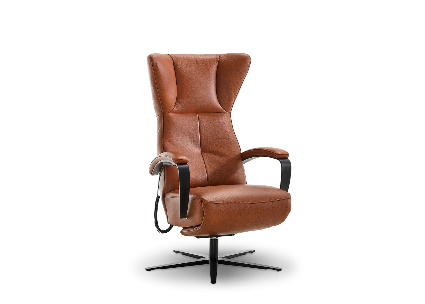 TV-Sessel CASIO VISION in cognac